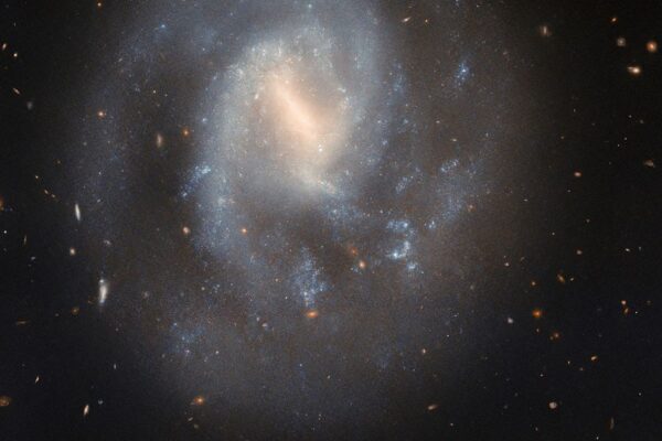 Hubble Investigates a Supernova Scene in a Spiral Hubble Studies a Spiral’s Supernova Scene