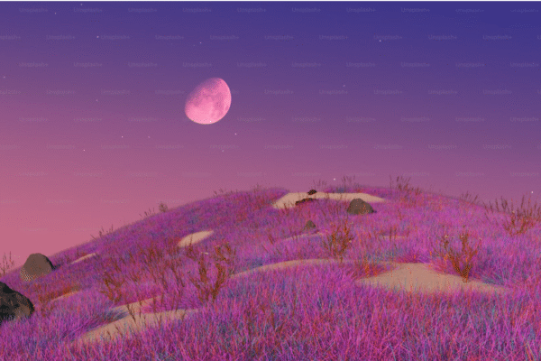 🌕 A Dreamy Night Sky Awaits: Witness the Pink Moon Tonight!