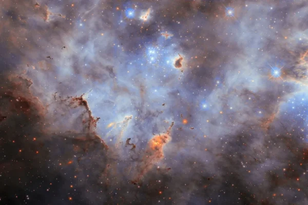 Large Magellanic Cloud Star Formation Captured by Hubble